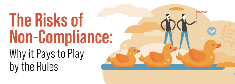 The image features a title about non-compliance risks, highlighting the importance of following rules, accompanied by illustrations of ducks and two figures with a flag.